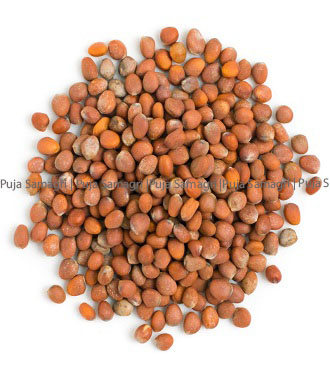 kr-Radish Seed/Mula Dana (मुलाको दाना) 1kg