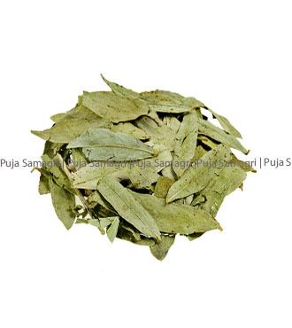 jb-Senna Leaves/Sanaipatta (सनैपत्ता) 50g