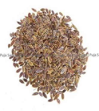 [kr-suw-nep-1kg] kr-Nepali Saunf/Suwa (नेपाली सौफ) 1kg